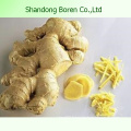 Supplier New Ginger, Fresh Ginger